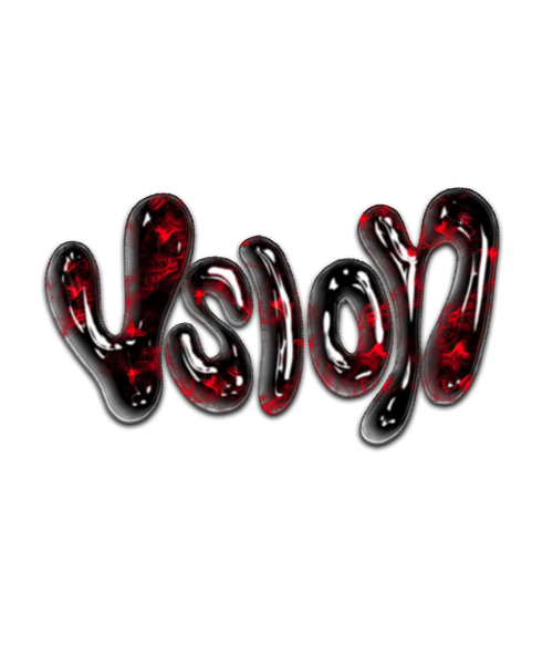 VSION
